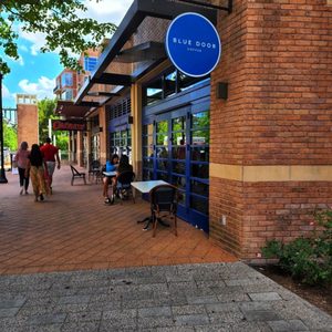 Blue Door Coffee Company